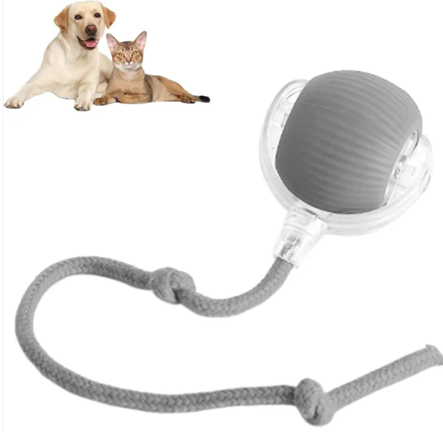 Smart Automatic Rolling Pet Ball